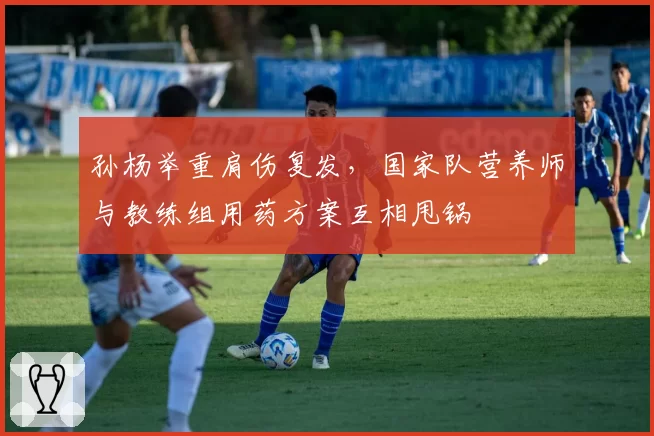 孙杨举重肩伤复发，国家队营养师与教练组用药方案互相甩锅