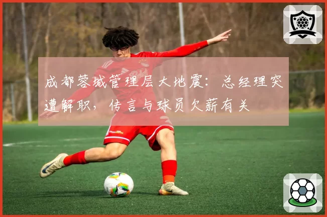 成都蓉城管理层大地震:总经理突遭解职,传言与球员欠薪有关