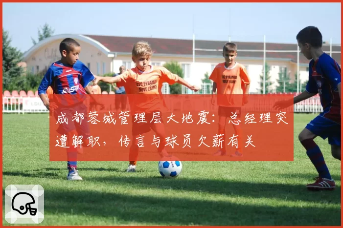 成都蓉城管理层大地震：总经理突遭解职，传言与球员欠薪有关